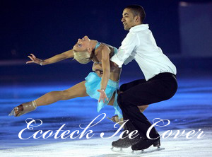 Ekoteck Ice Cover
